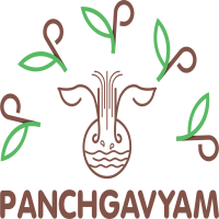 Panchgavya Nasya  Medicine for MigraineSinus Good sleep  Brain pow