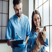 Veterinary Care at Home